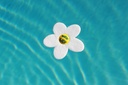 Water Lilly® TOUCAN